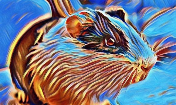 Download Hamster Premium Digital Paper VOL-1 - Premium Resources